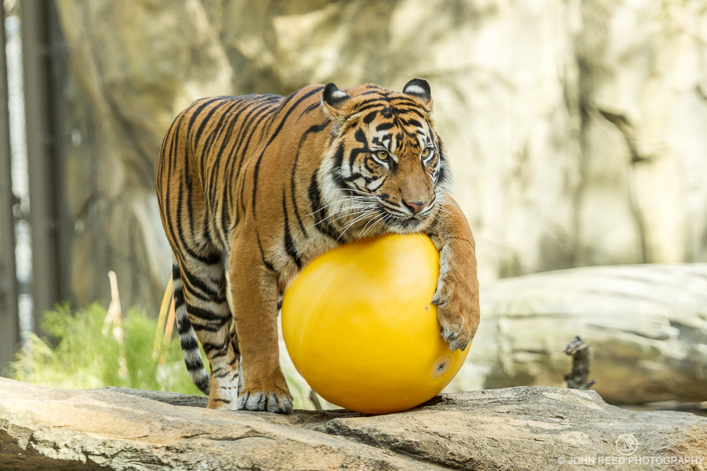 TalkingrotomoldingandrainbarrelsattheWhiteHouse Plastics News