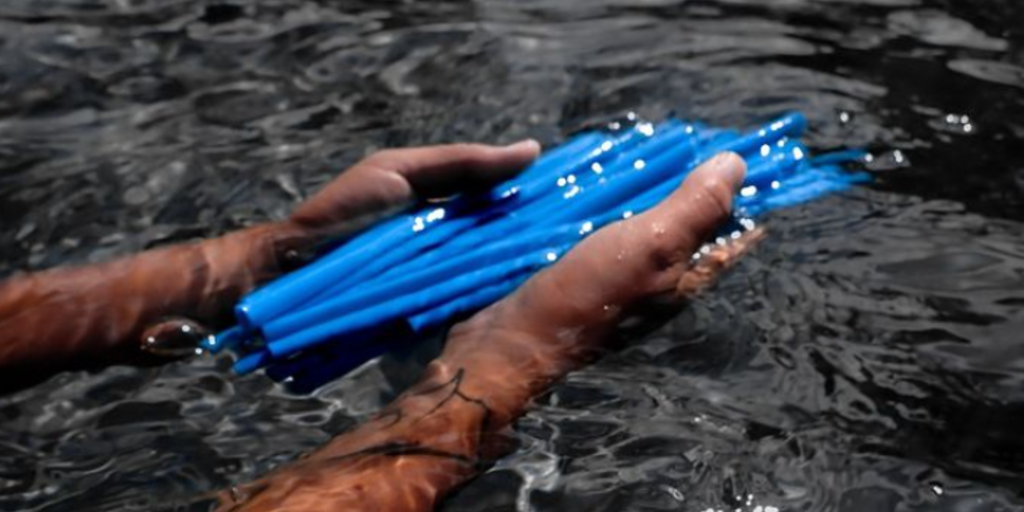 More backers for seaweed straws | Plastics News - Vimarsana News