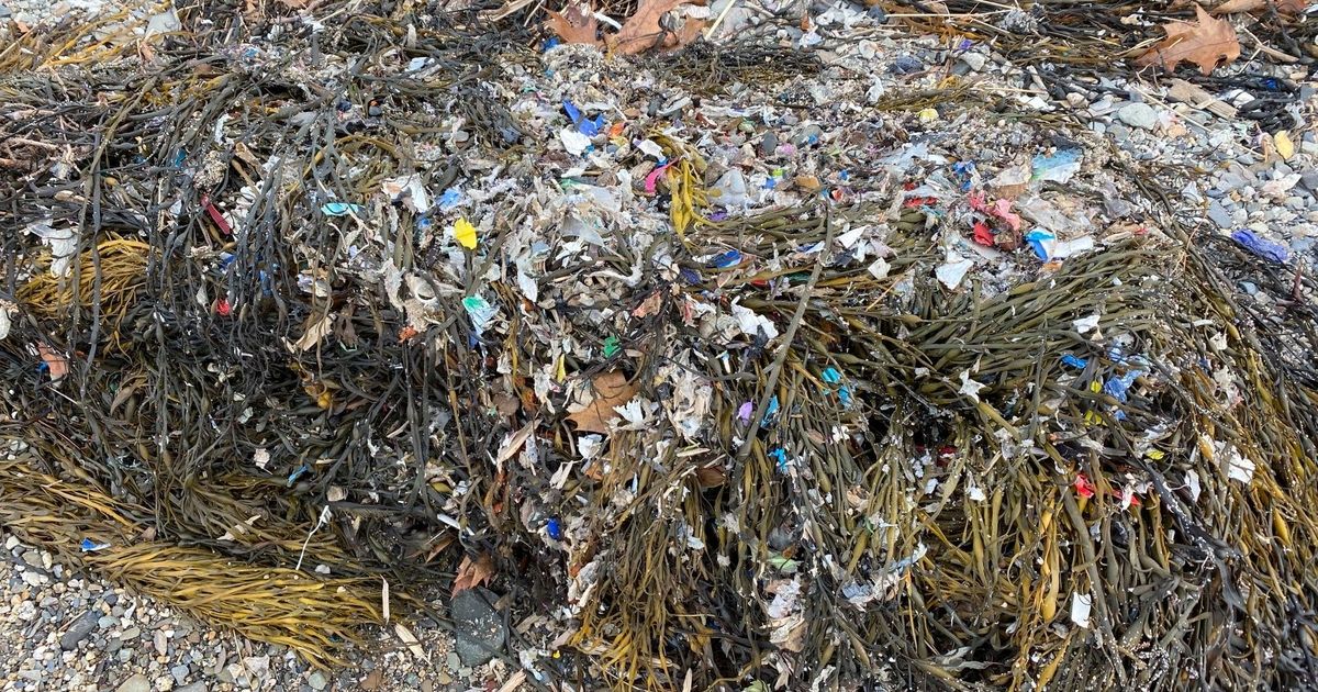 Maine fines company over scrap plastics spill Plastics News