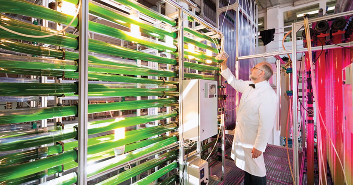 CO2aidsBayer'ssustainablilityefforts Plastics News