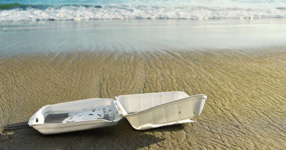 New Zealand expands its ban on hardtorecycle plastics Plastics News