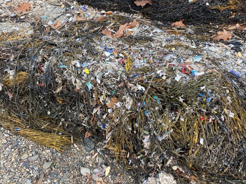 Maine fines company over scrap plastics spill - Vimarsana News
