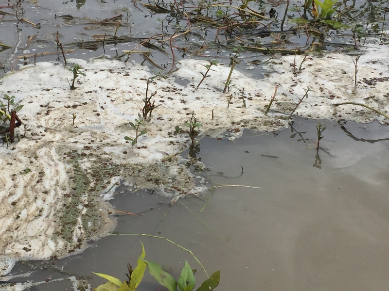 TexasfinesFormosa121000forpelletpollution