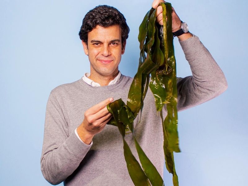 Kickstart: A food waste obsession and edible packaging - Vimarsana News