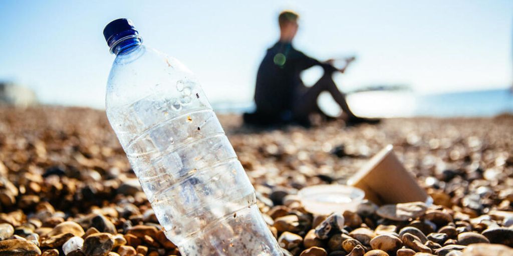 Is 'anti-woke' impacting plastics? - Vimarsana News