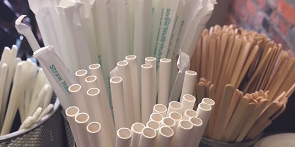 Canada moves to ban single-use plastics, limit chasing arrows symbol - Vimarsana News
